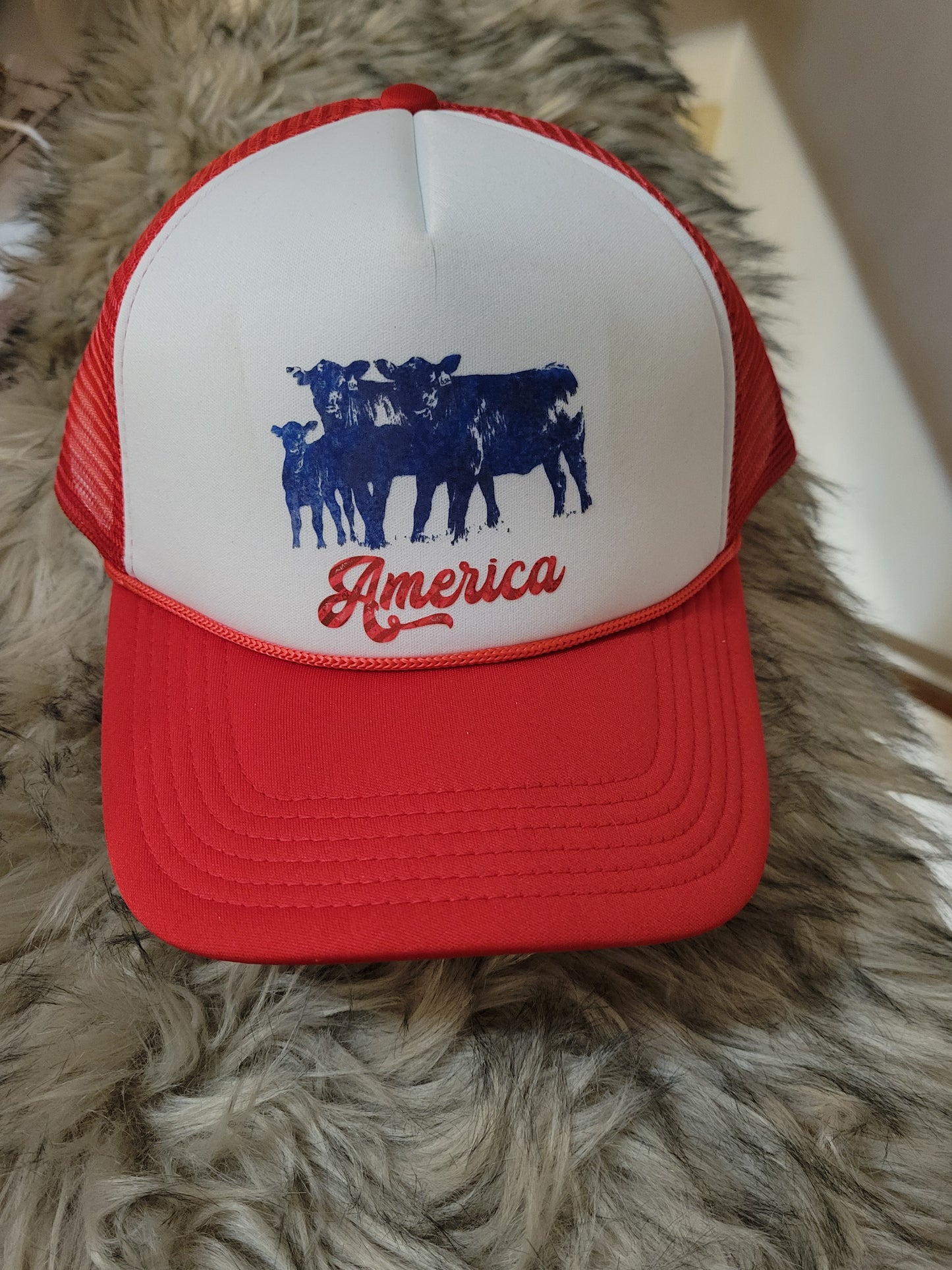 America Trucker  Cap