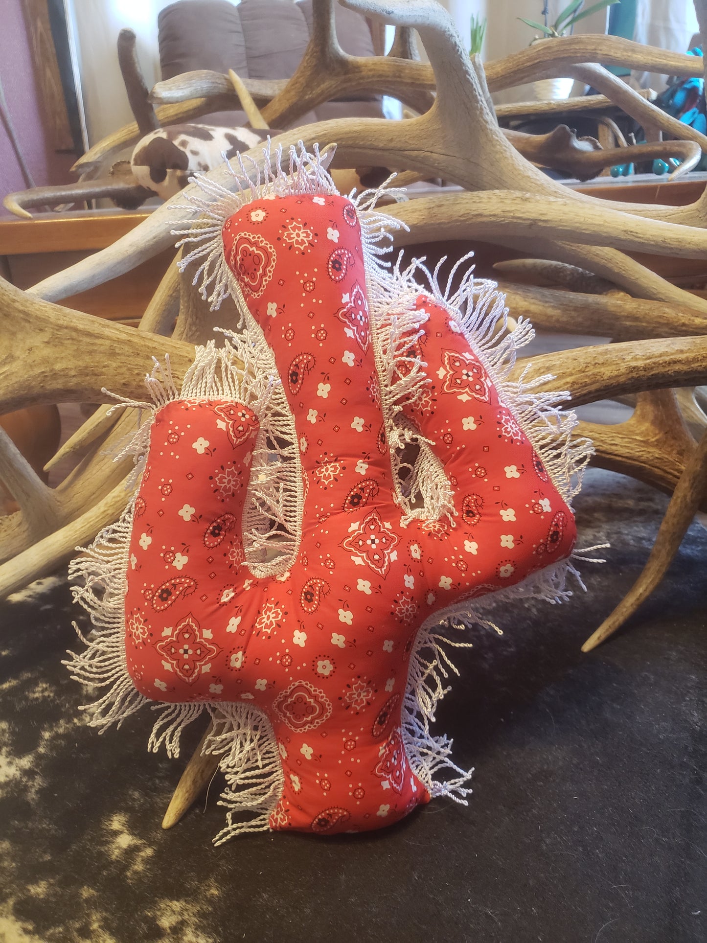 "Red Bandana Cacti"