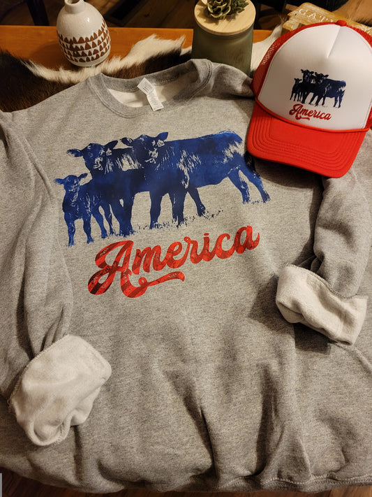 AMERICA