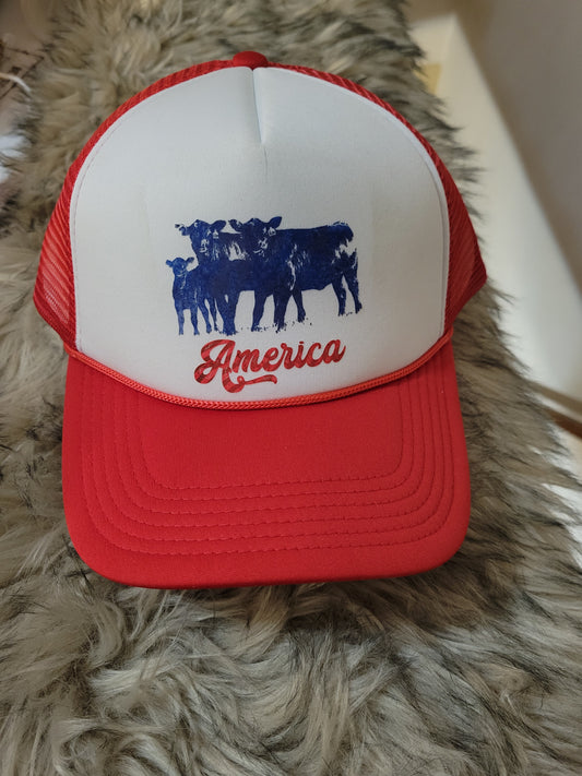 America Trucker  Cap